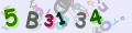 Vous must read and type the 6 chars within 0..9 and A..F